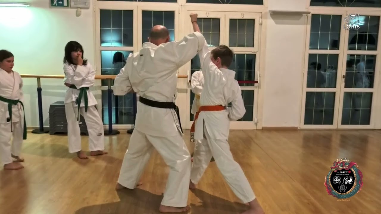 Karate Shotokan Bambini... Polifunzionale Villa Bartolomea vr