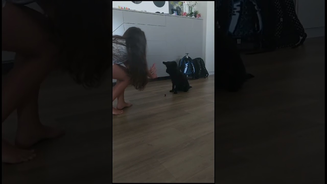 בא לי חטיף!!🤣 #כלב #חטיף #לאקי