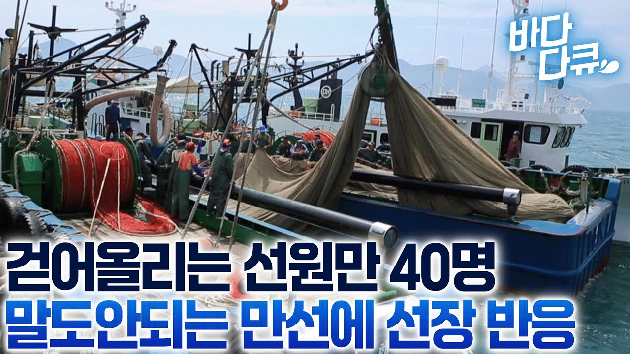 어군탐지선 한 척, 어망선 두 척은 물론 가공선까지 모두 네 척/대형선단 멸치잡이 배 만선 찍는 날/#바다다큐