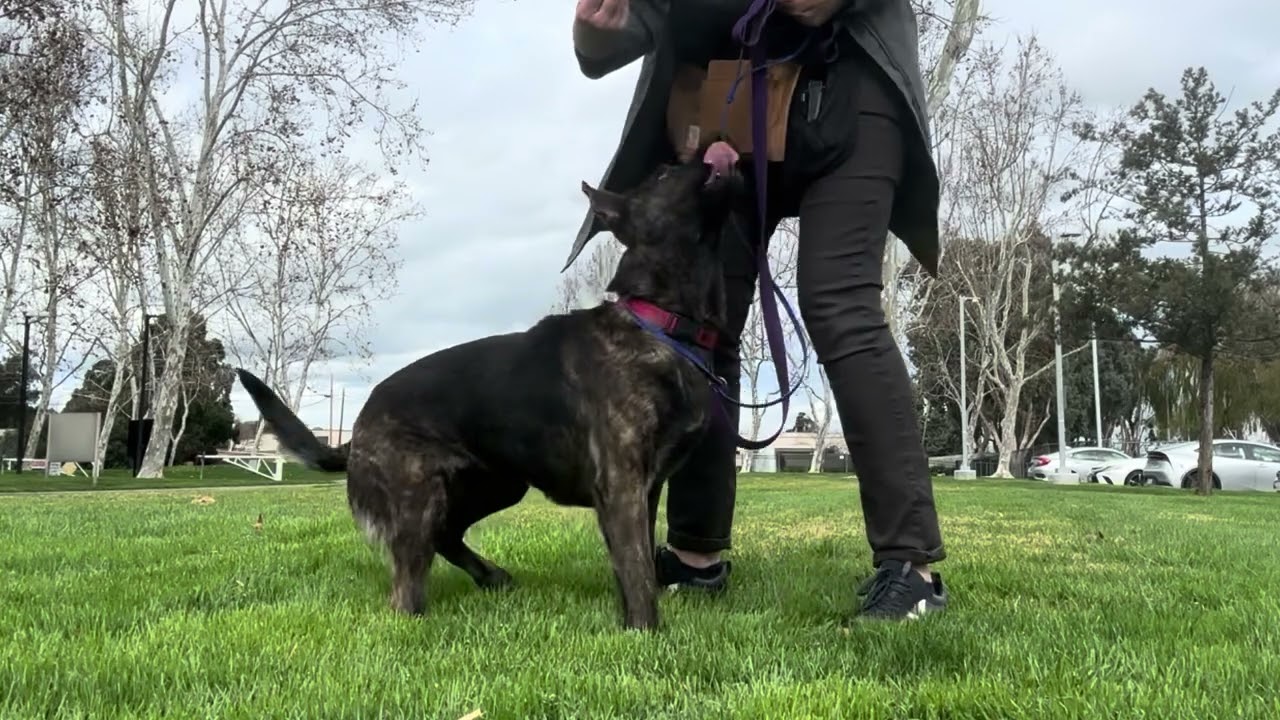 Tandy A1042755Located At: Martinez CCAS
