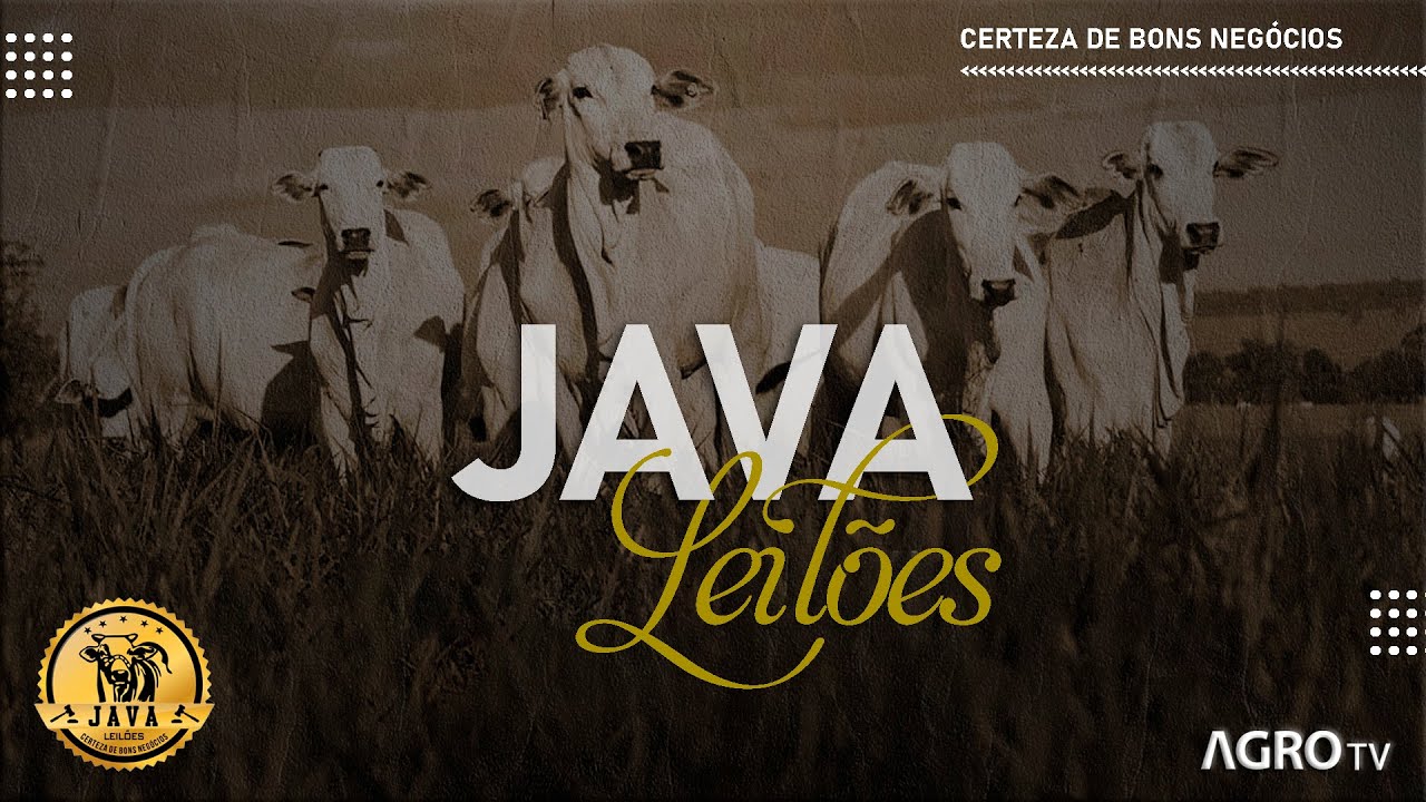 JAVA LEIL&Otilde;ES AO VIVO - IBI&Aacute; MG