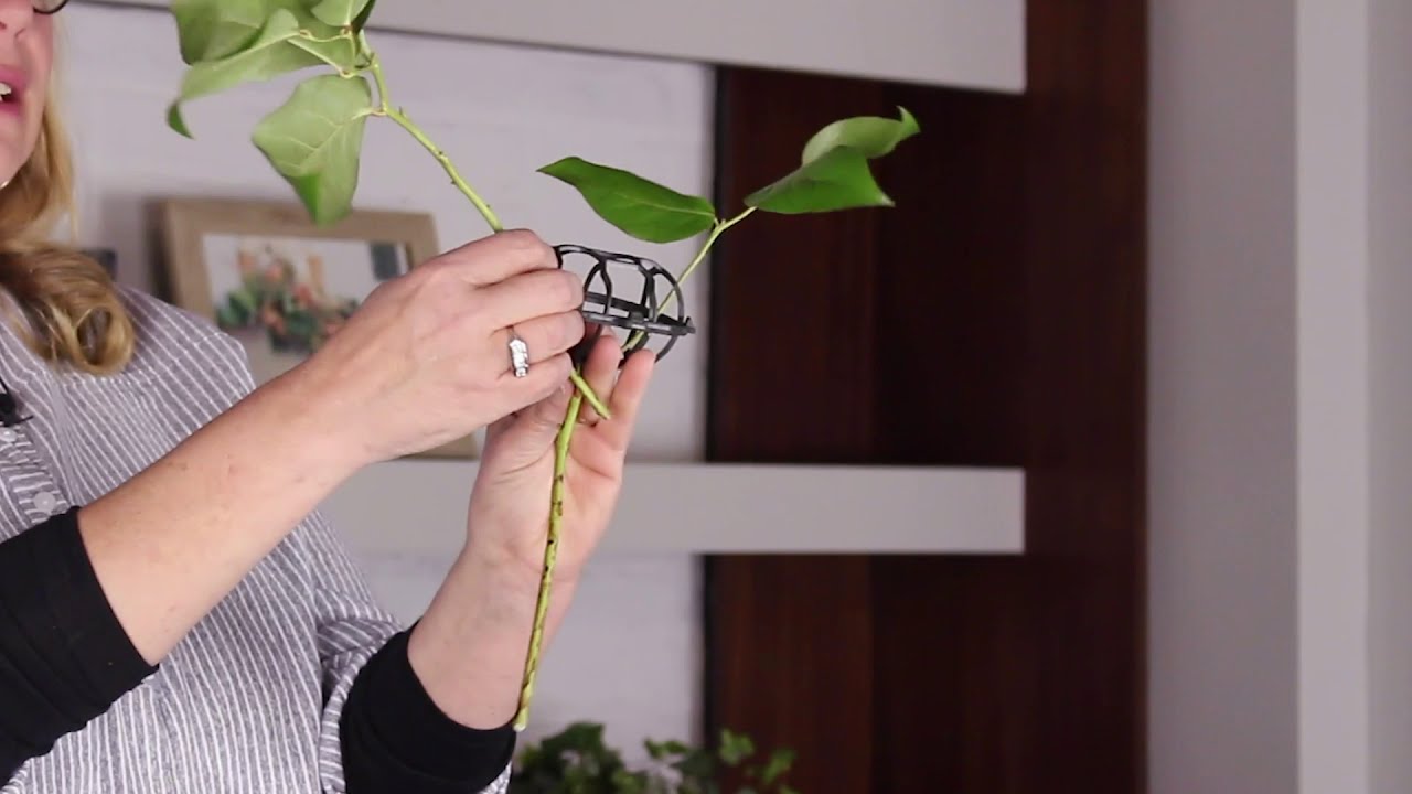 Holly Chapple DIY Bouquet
