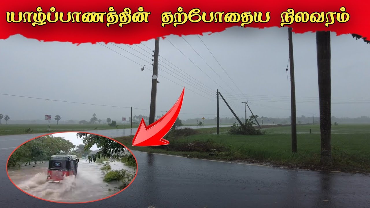 யாழ்ப்பாணத்தில் கடும் புயலின் தாக்கம் | Impact of severe storm in Jaffna
