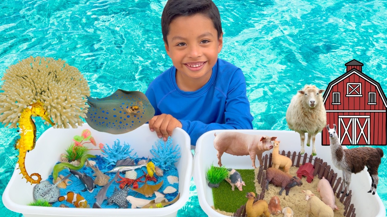 Two Worlds Diorama Ocean and Farm Animals | Learning for kids toys @Toymany-official