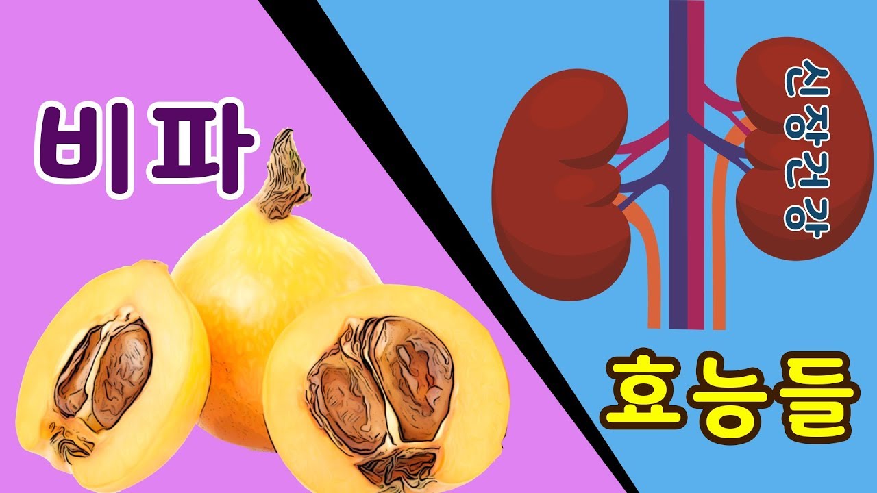 비파효능 신장건강 등에 좋은 비파나무열매효능을 알아보겠습니다. 비파열매효능