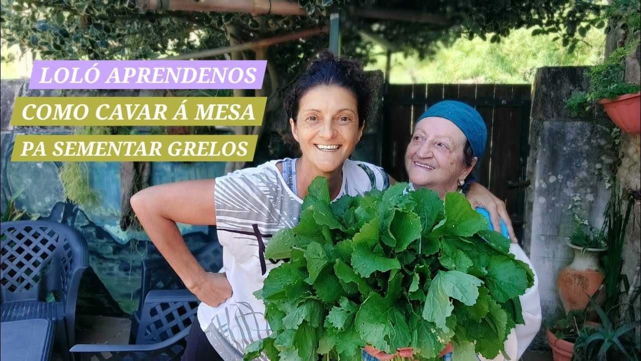 LOLÓ APRENDENOS A CAVAR Á MESA PA SEMENTAR GRELOS 🌱  || {NUSKA}