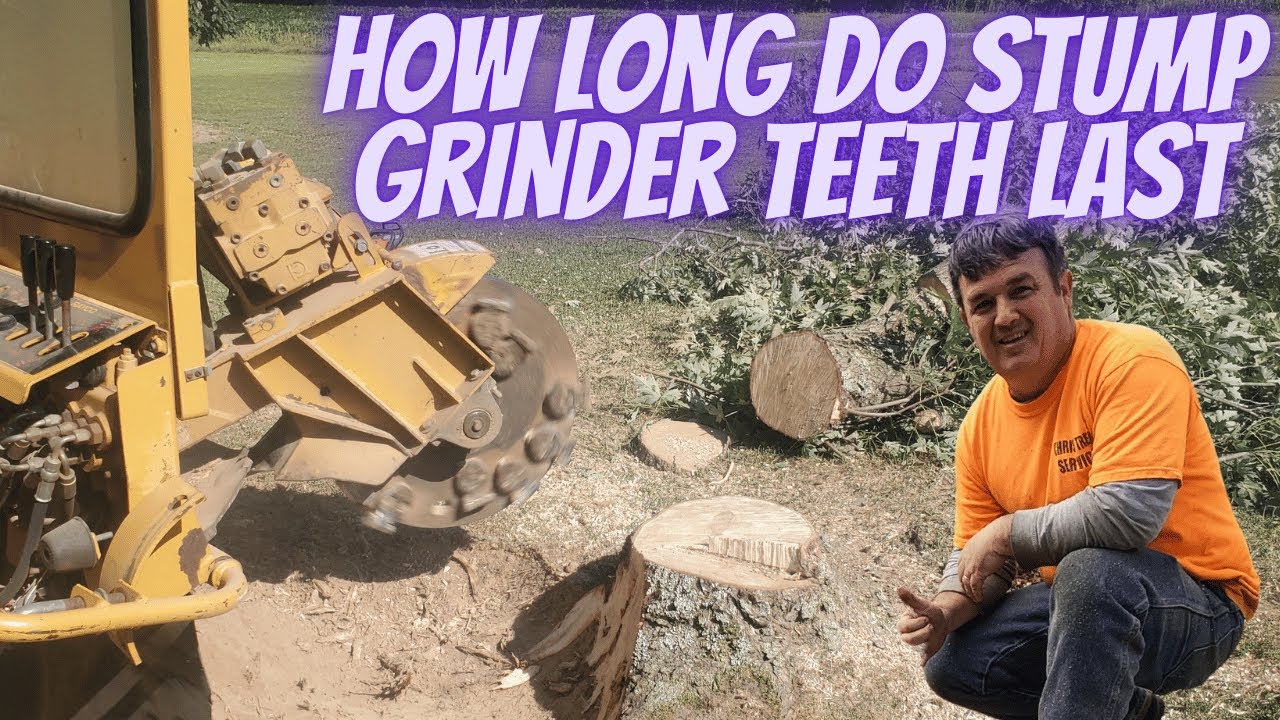 How long do stump grinding teeth last?