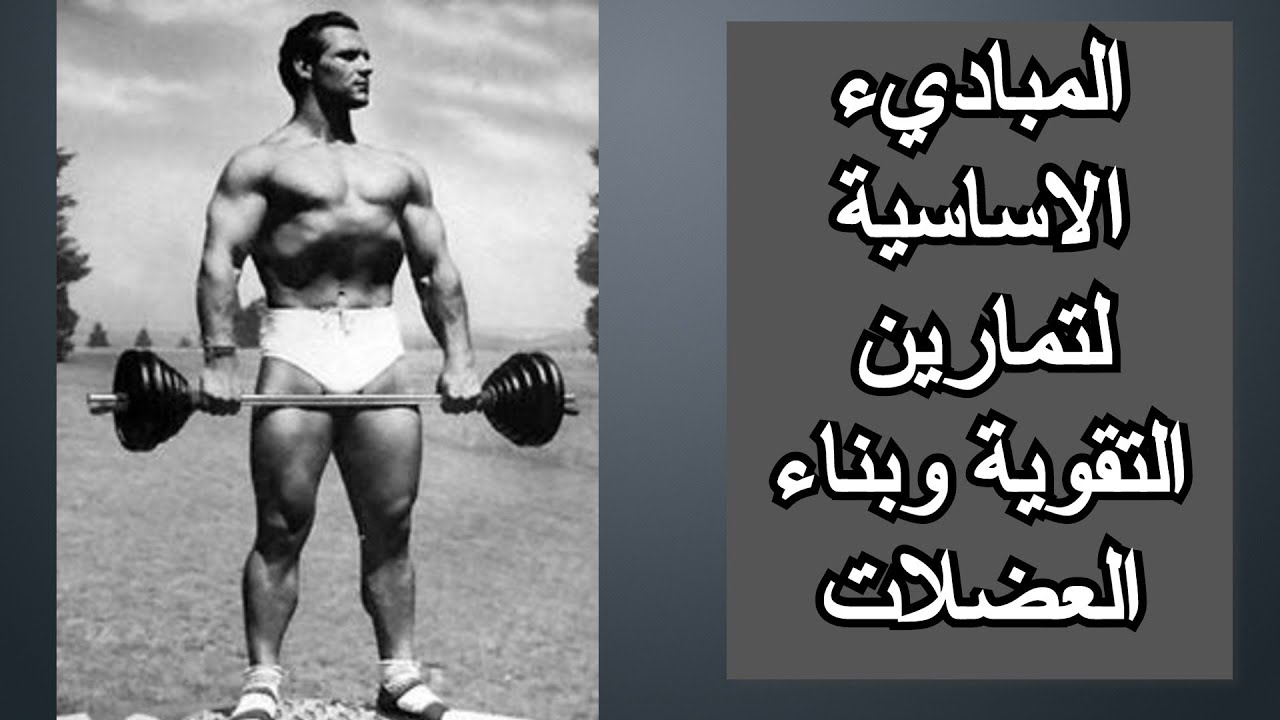أهم القواعد والمبادئ الاساسية للمبتدئين في تمارين التقوية وبناء العضلات