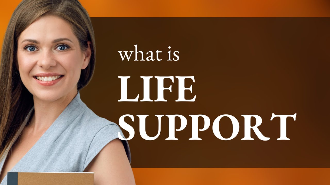 Life support &bull; meaning of LIFE SUPPORT
