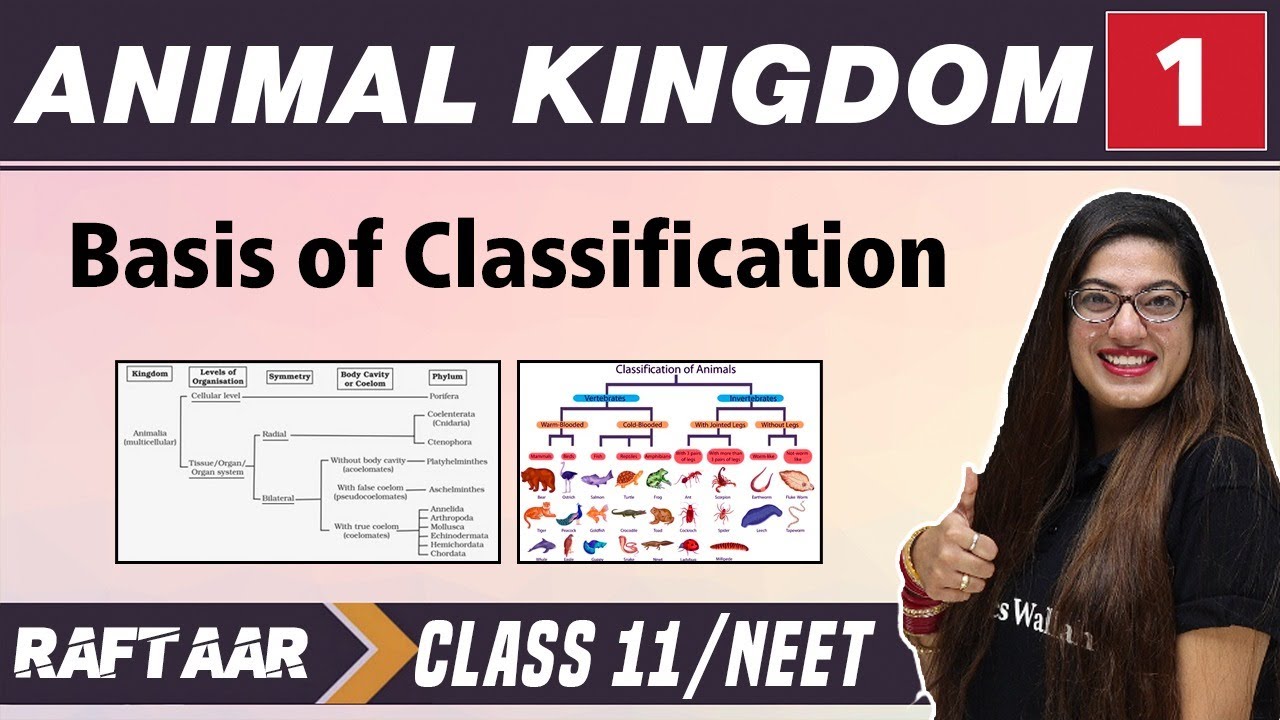Animal Kingdom 01 || Basis of Classification || Class 11/NEET | RAFTAAR