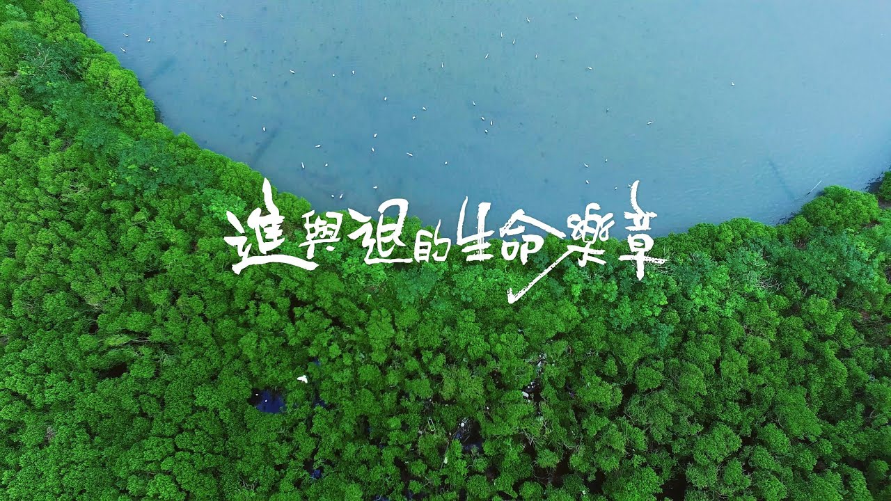 【台江】進與退的生命樂章：台江濕地生態影片中文版（3分鐘）