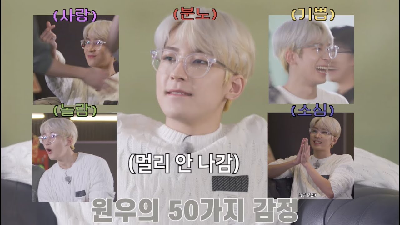 [세븐틴/원우] 원우의 50가지 감정