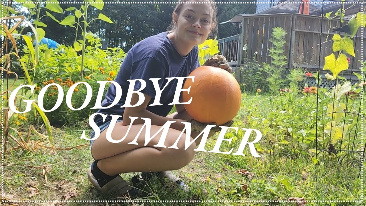 Garden Reset: Ripping Out Summer Plants for Fall Prep