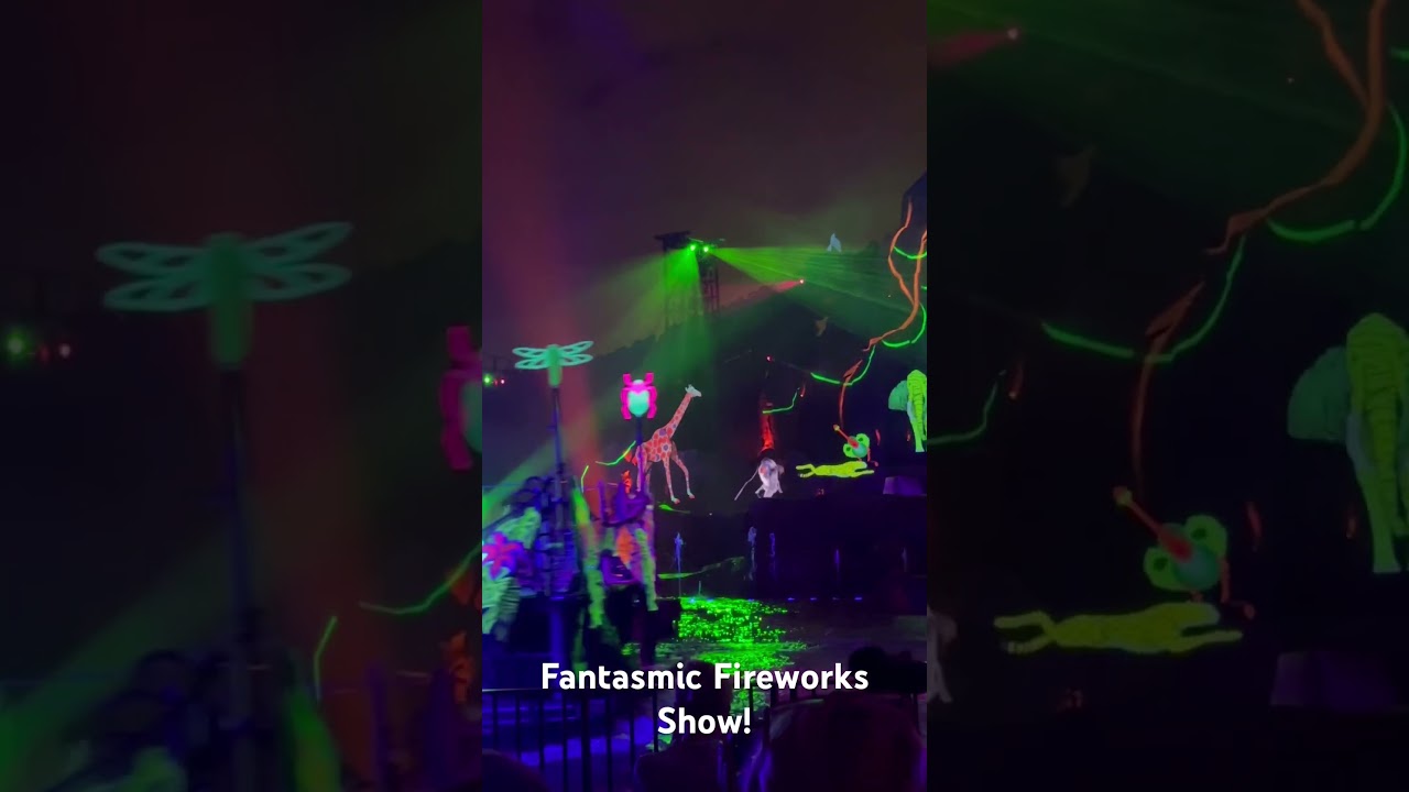 Disneys HollyWood Studios Lion King part of Fantasmic! 