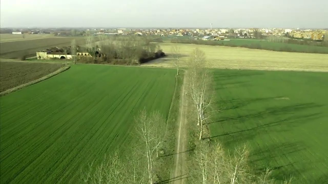 Seasons time lapse Mappano 2020