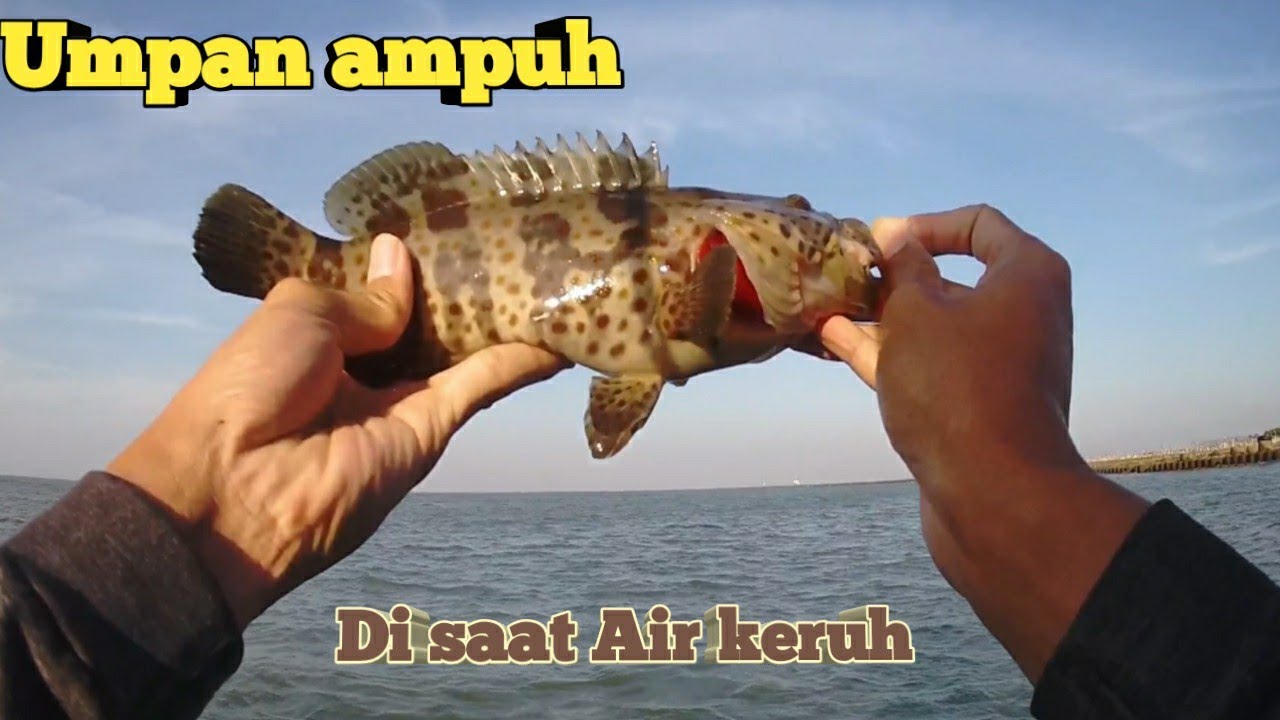 Casting saat cuaca buruk, begini hasilnya... #1
