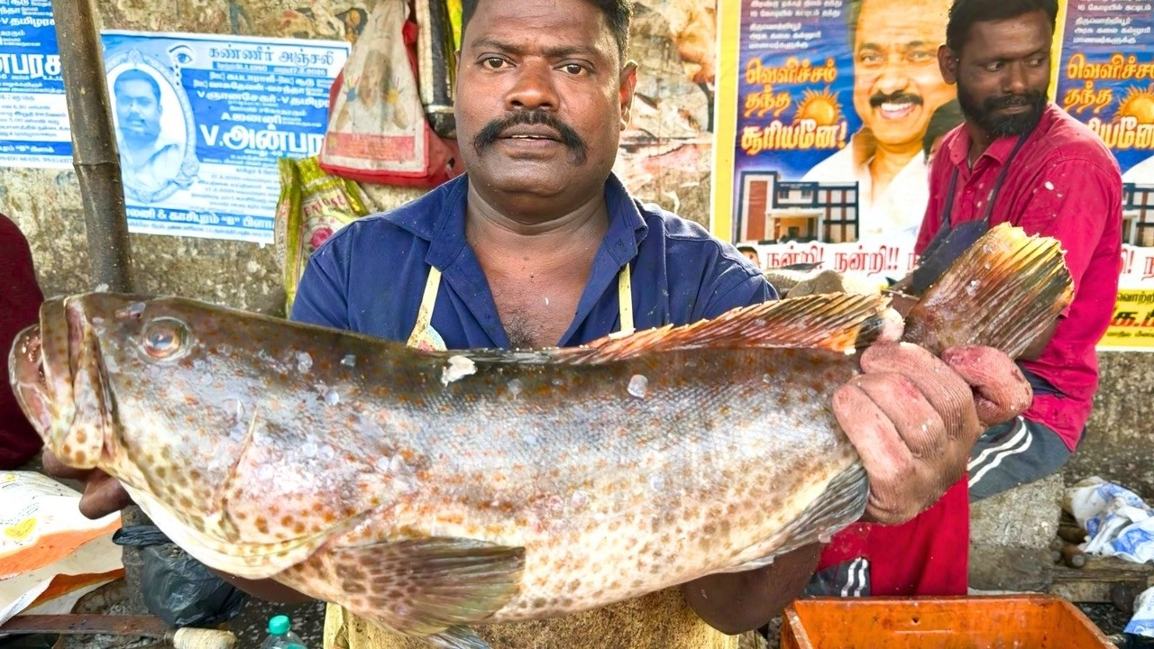 KASIMEDU SELVAM GROUPER FISH CUTTING | UK SONS MARINE 🇮🇳