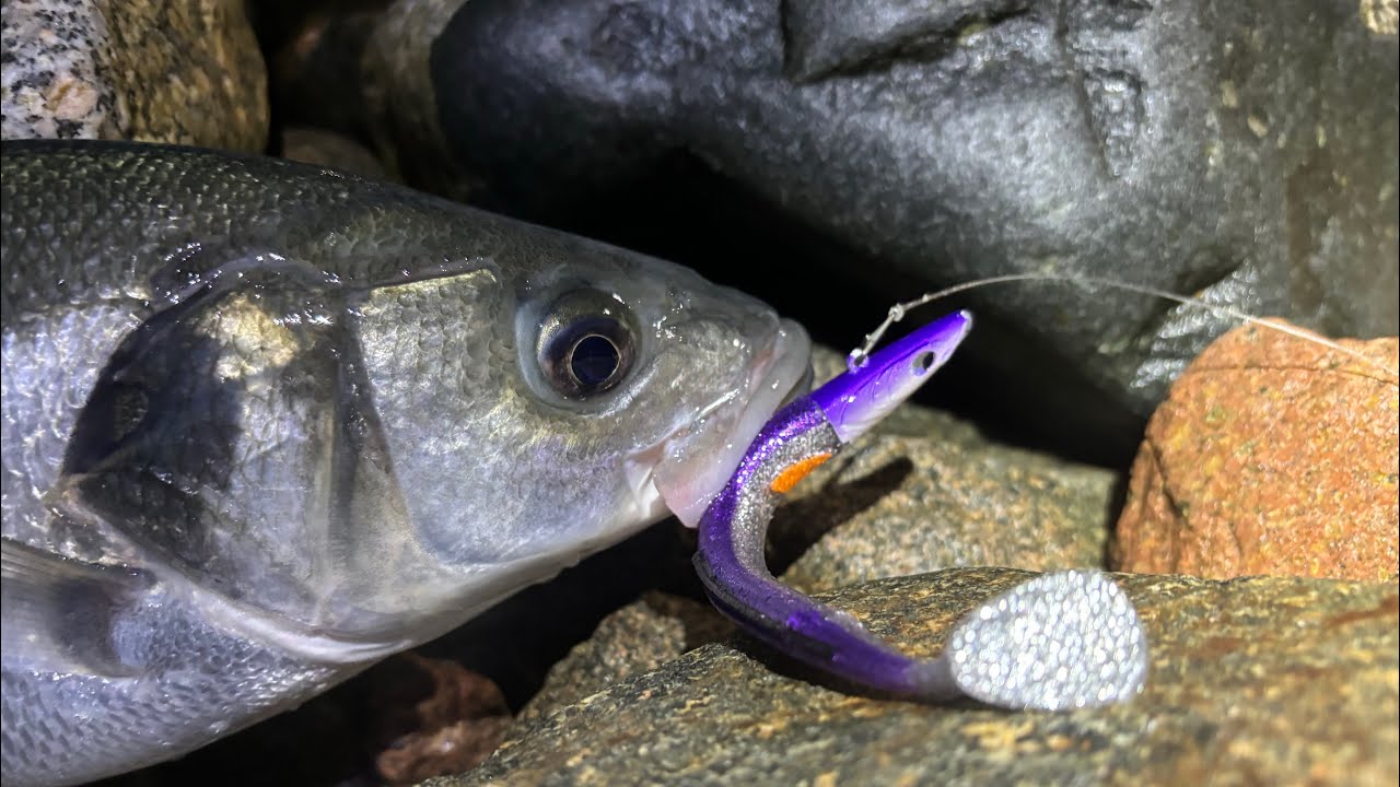 LURE FISHING AT NIGHT - TIPS TO MAKE FISHING SIMPLE EFFECTIVE & MOST OF ALL ENJOYABLE - BASS FISHING