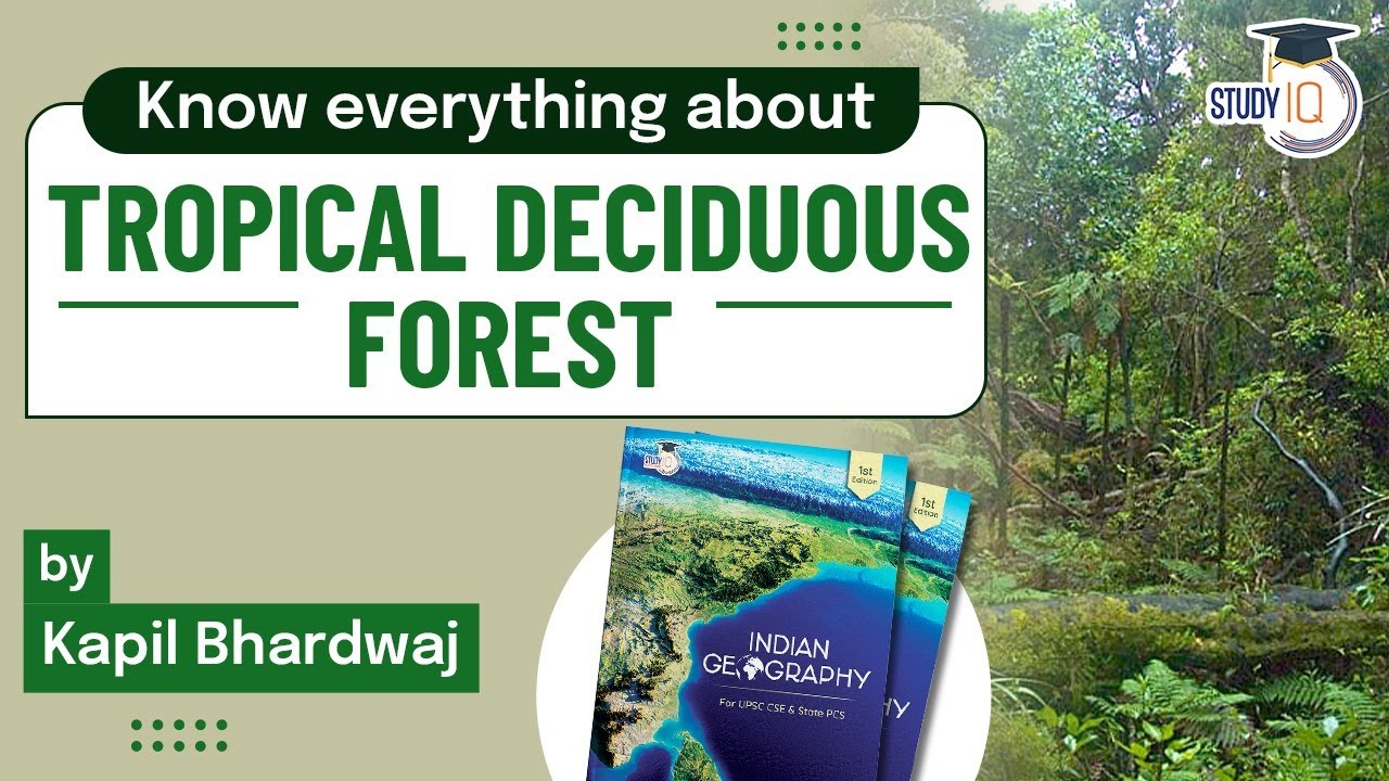 What is Tropical Deciduous forest? India's Tropical Deciduous forest |Principles of Indian geography