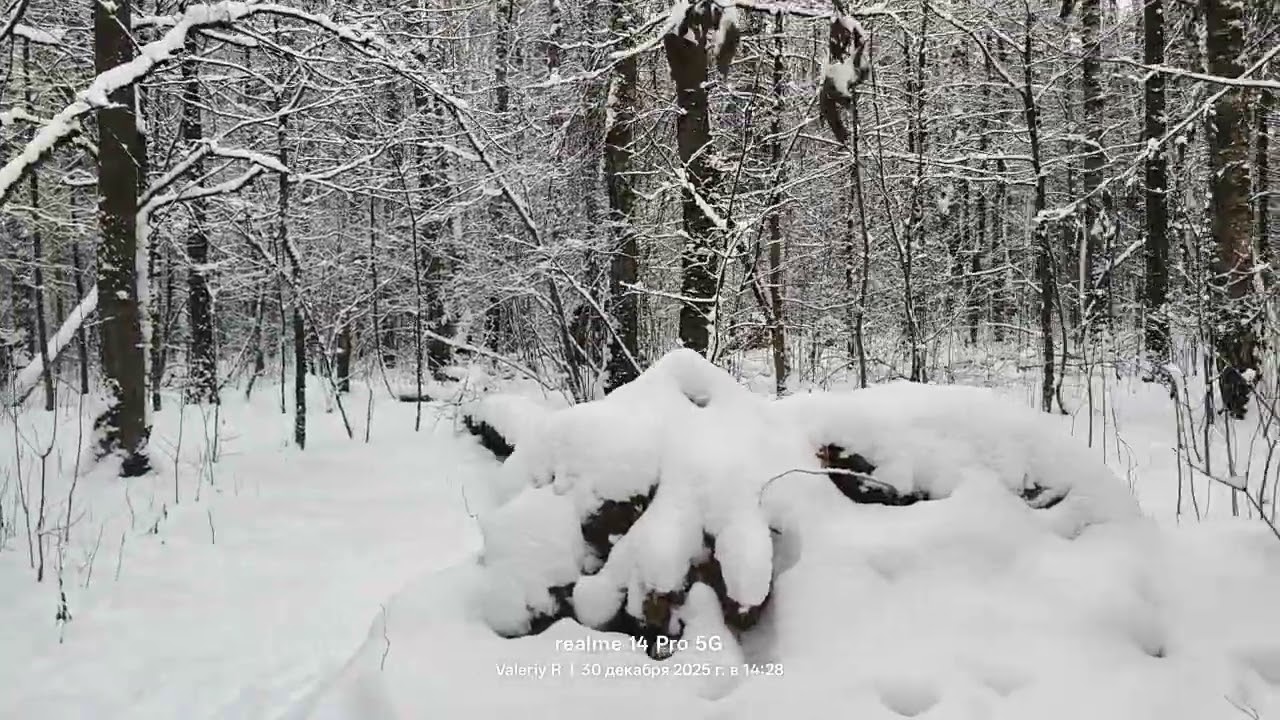Прогулка #37   30.12.2025