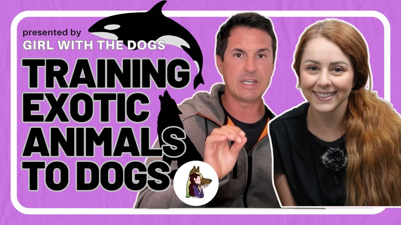 What Does Training Exotic Animals Have In Common With Dogs? | Beckman's Dog Training