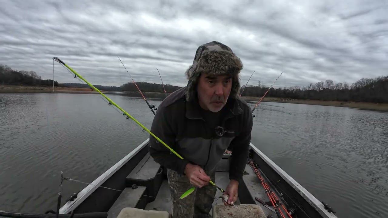 Needle In The Haystack Catfishing