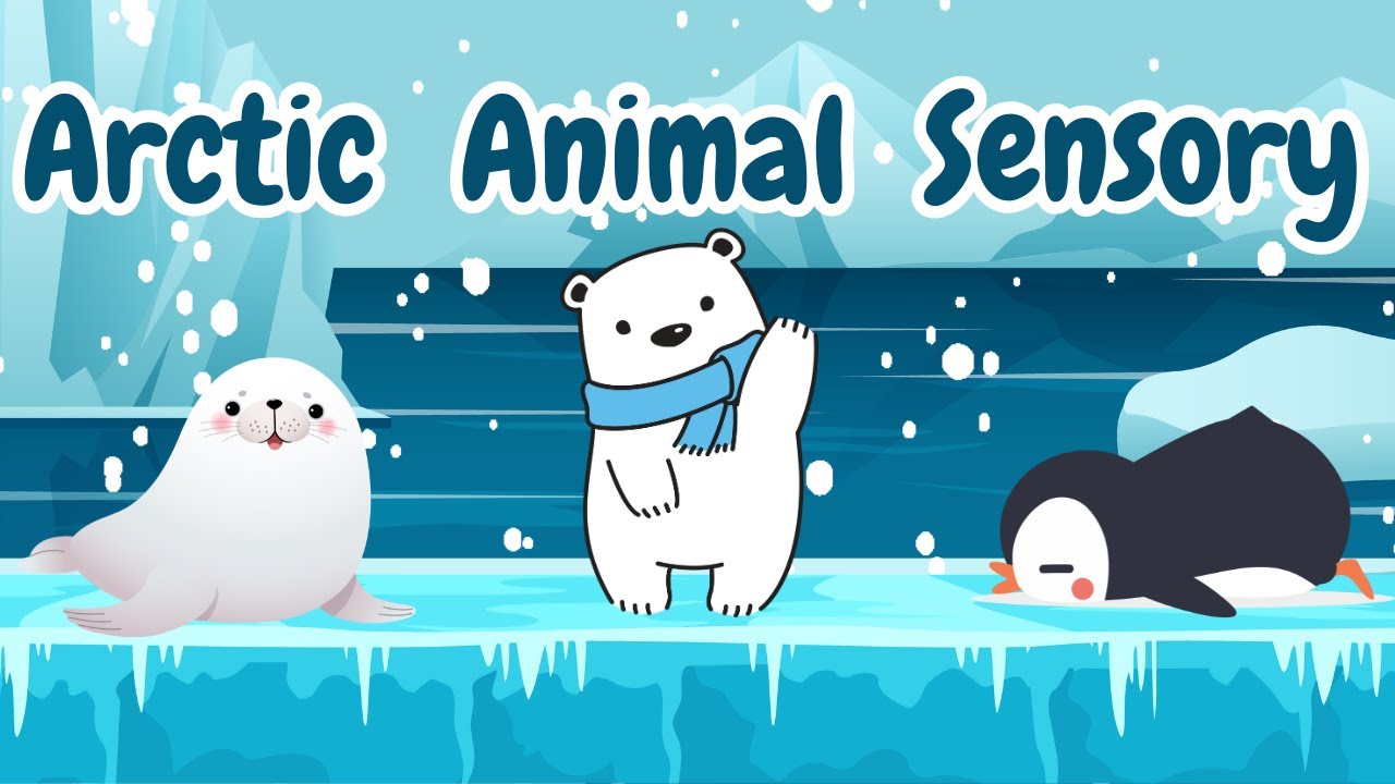 Arctic Animals Baby Sensory