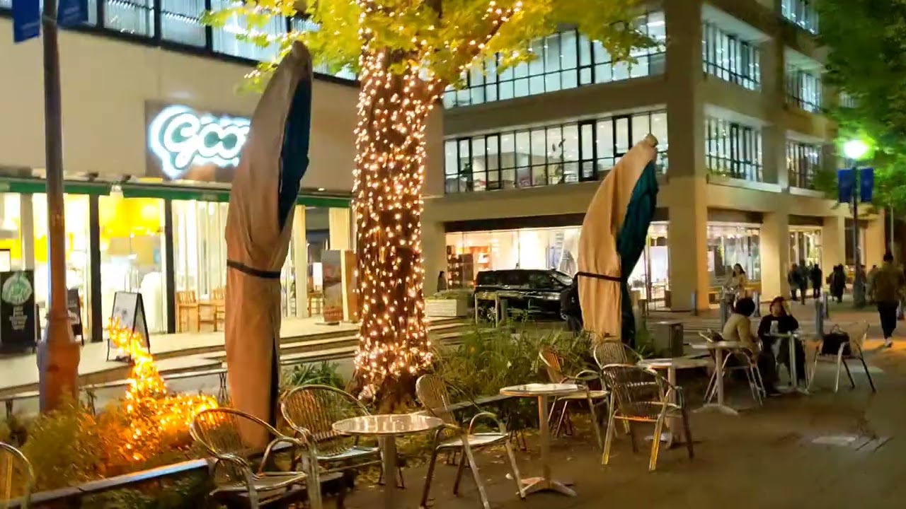日本大通り 21 Nov 2025