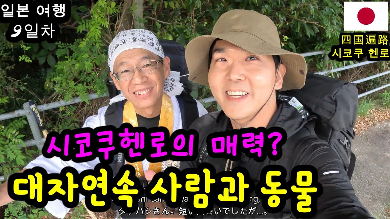 시코쿠 헨로의 매력 🌿 사람과 동물, 대자연 속에서 ⛩️🐒🐗 | 시코쿠 헨로 9일차 🎒🥾
