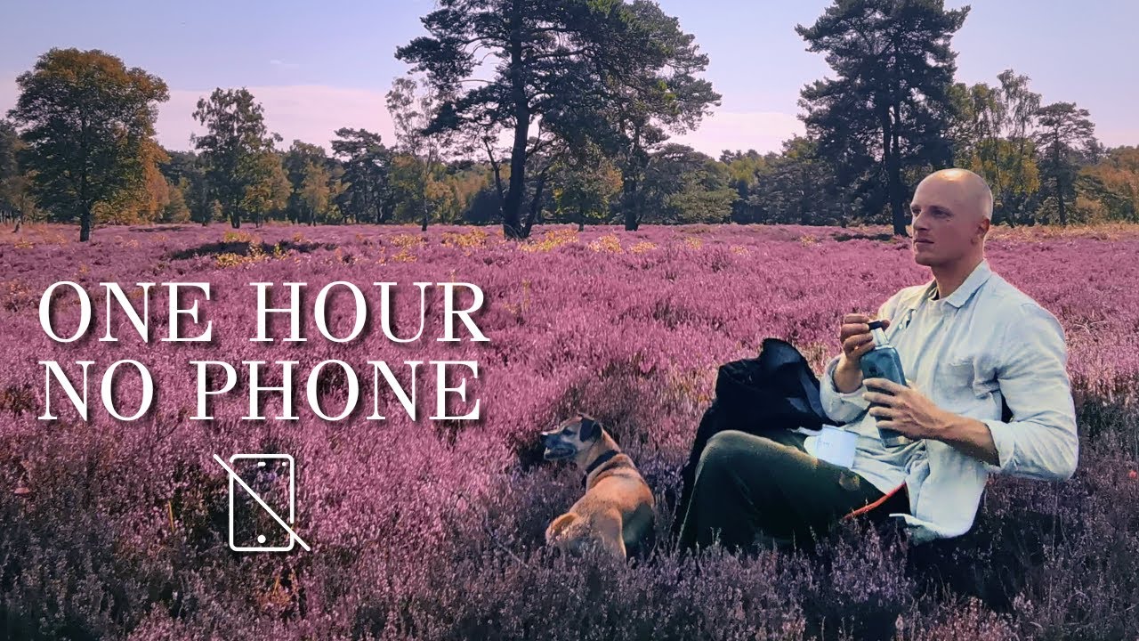 1 Hour to Heal Your Mind - No Phone, Just You, Me & Nature