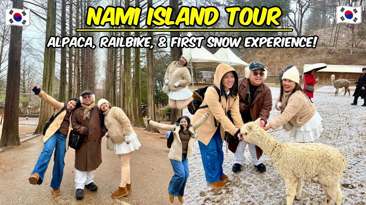 First Snow in Korea with My Cousins! ❄️ Alpaca World + Nami Island + Gangchon Railbike Day Tour 🇰🇷