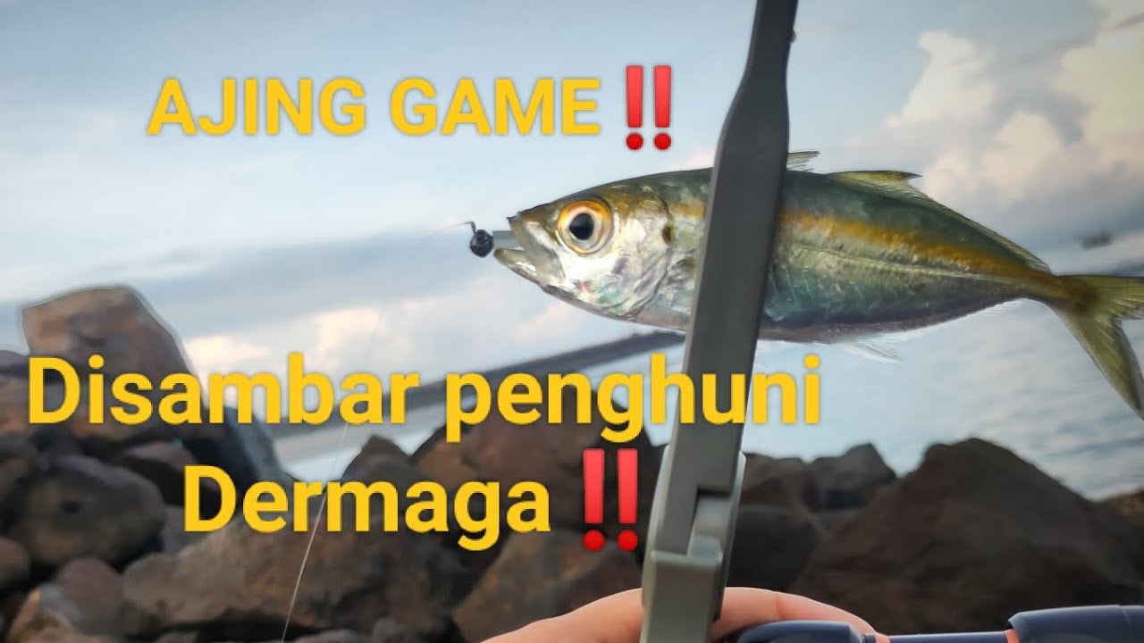 AJING GAME‼️ULTRALIGHT CASTING BALI BARAT‼️TARIKAN MONSTER DERMAGA‼️#relixnusantara #fyp #cangkek