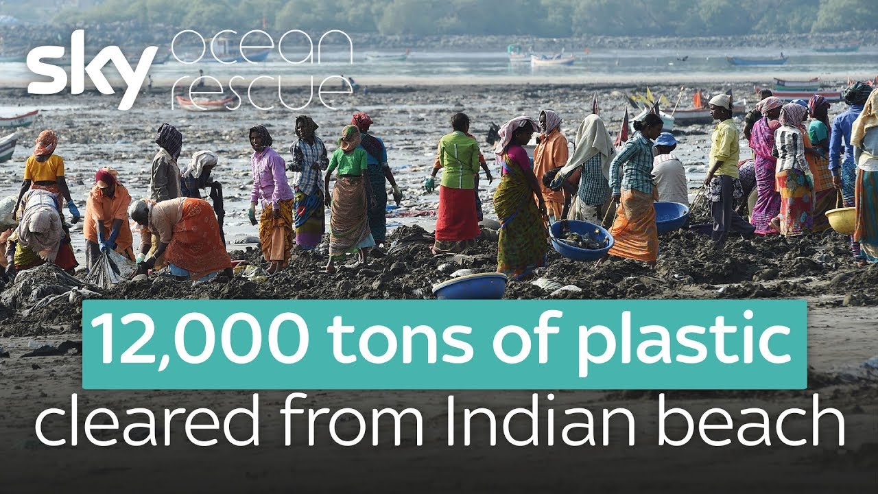 12,000 tons of plastic cleared from Indian beach