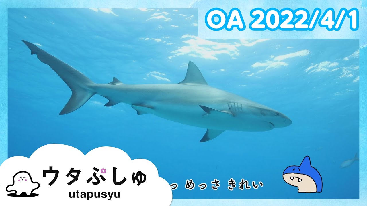 【赤ちゃんが喜ぶ】ウタぷしゅ公式22/04/01│テレビ東京ｘ東大赤ちゃんラボ│赤ちゃんが泣き止む・知育の動画