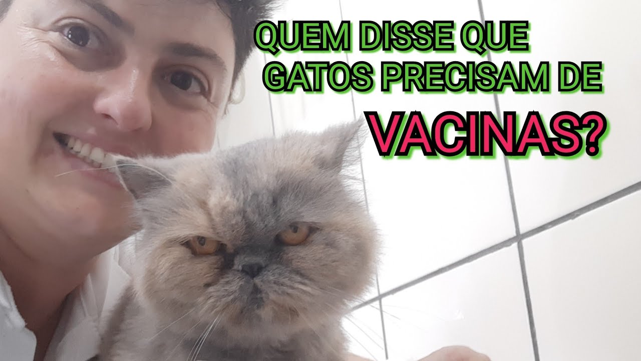 VACINAS PARA GATOS