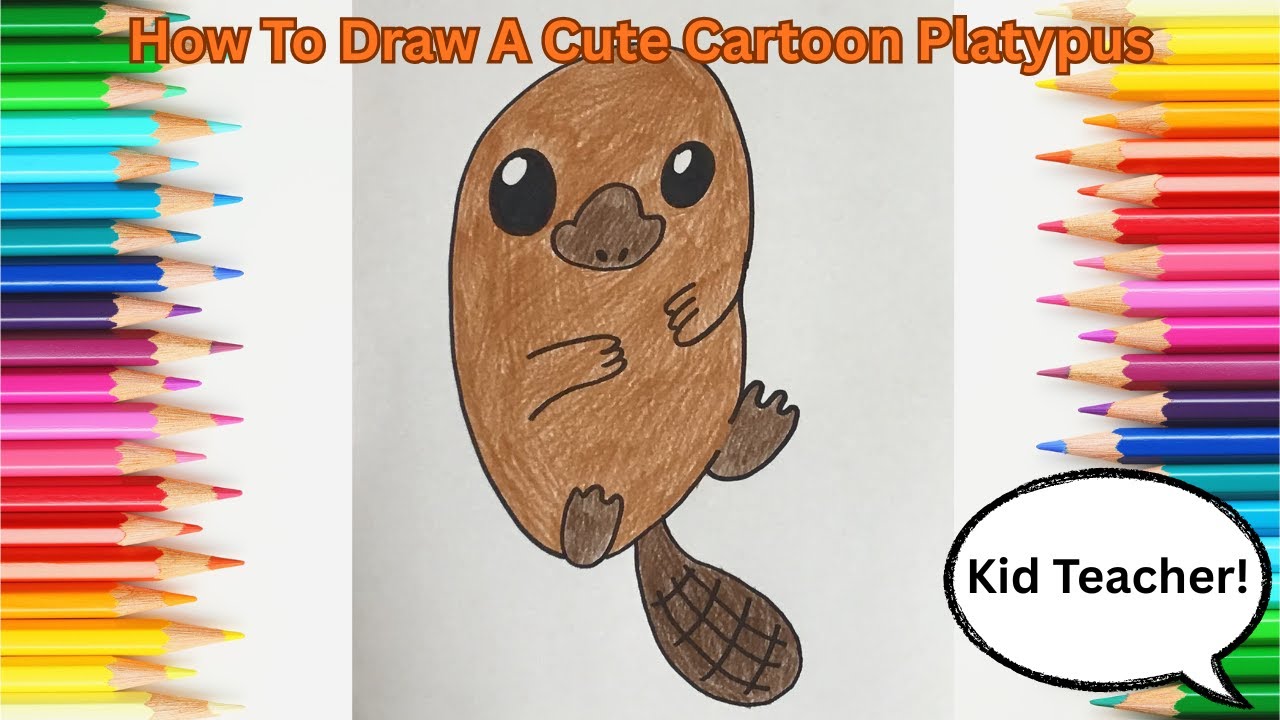 How To Draw A Cute Cartoon Platypus | Easy For Kids