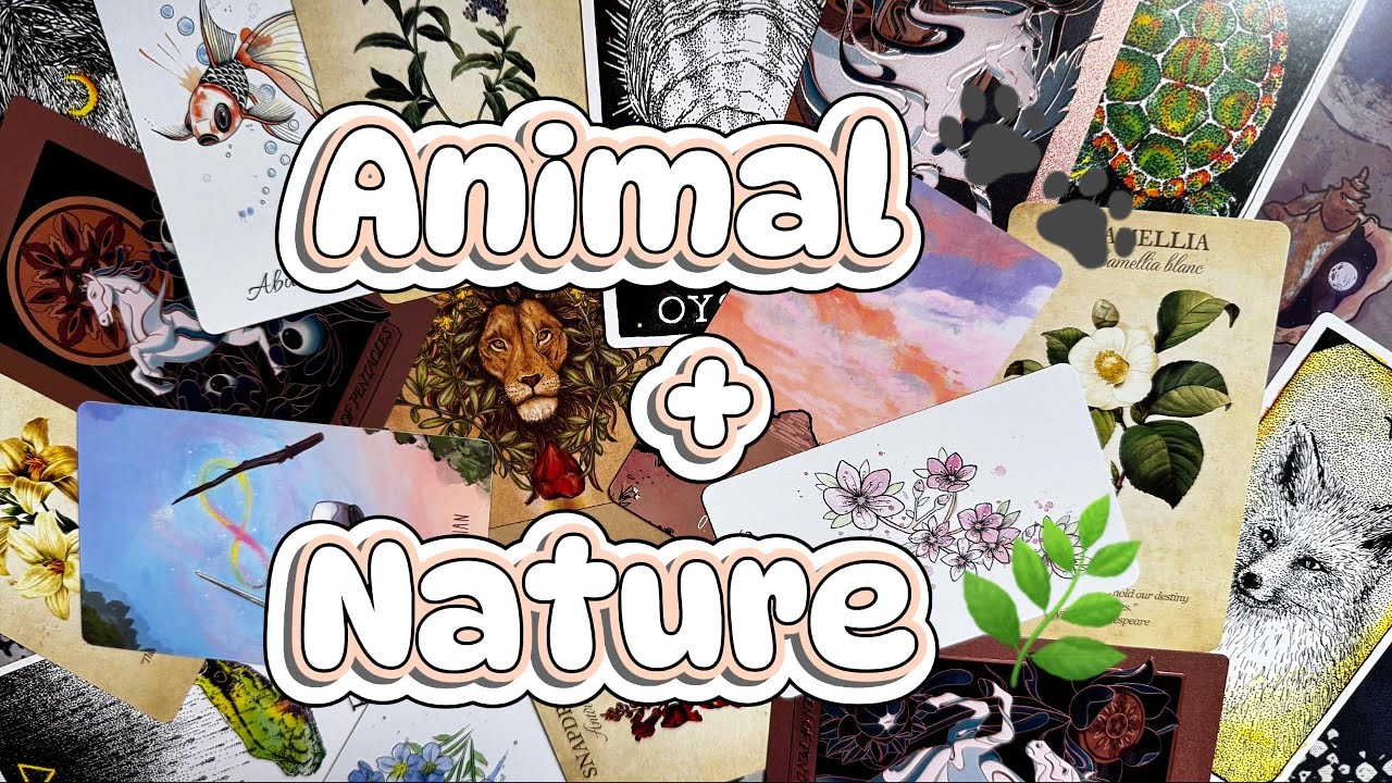 Tarot & Oracle Deck Collection | Nature & Animal Themed Decks 🌿💎🐾