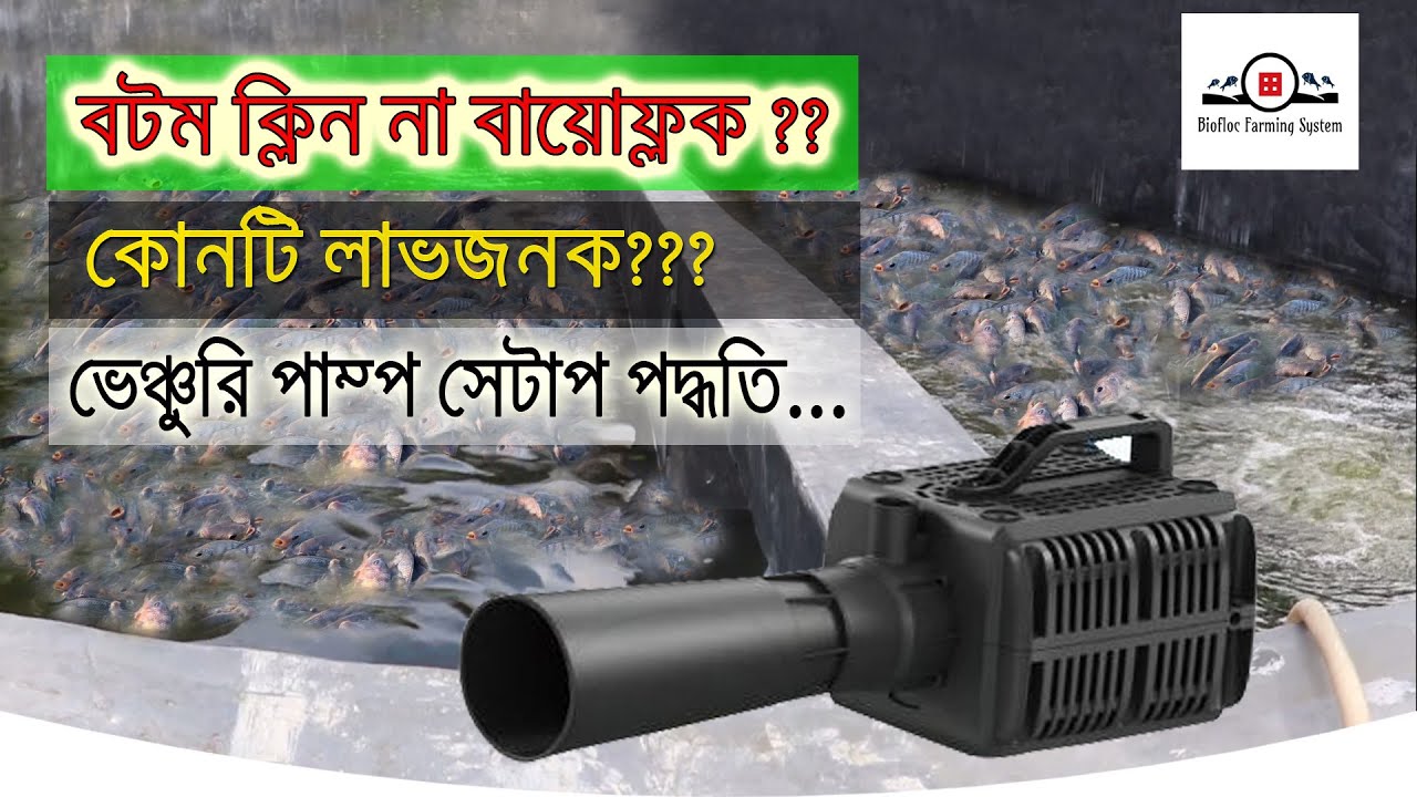 বটম ক্লিন না কি বায়োফ্লক  কোনটি বেশি লাভজনক??🤯🐟 সঠিক সিদ্বান্ত নিন আজই !!! বটম ক্লিন ভেঞ্চুরি সেটাপ