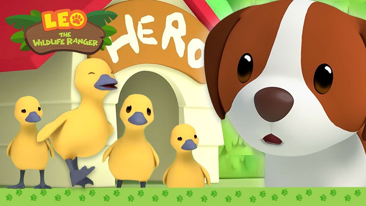 NEW: Adventure Time with HERO! 🚶🐕 | It's Hero Time | Leo the Wildlife Ranger | Kids Cartoons