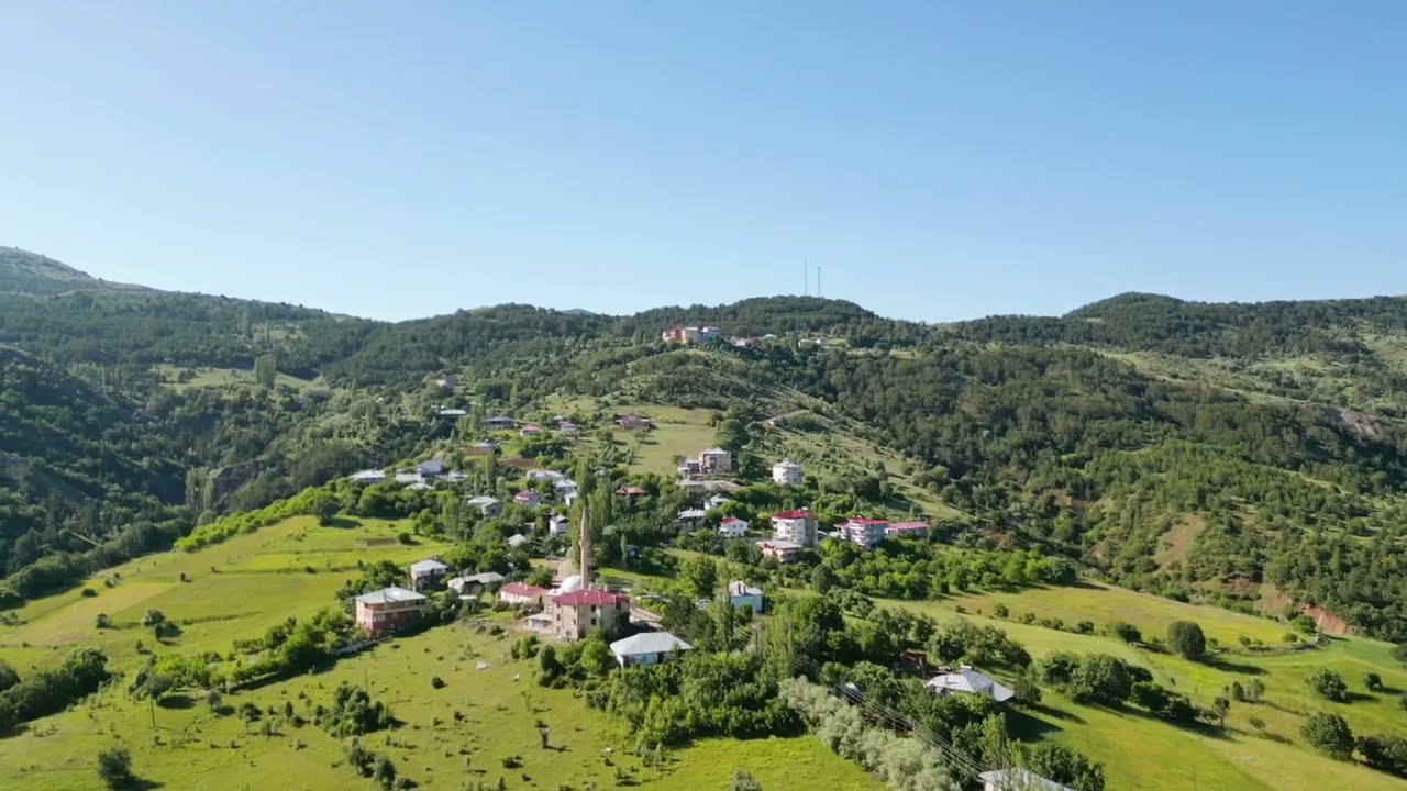 Şebinkarahisar Alişar Köyü