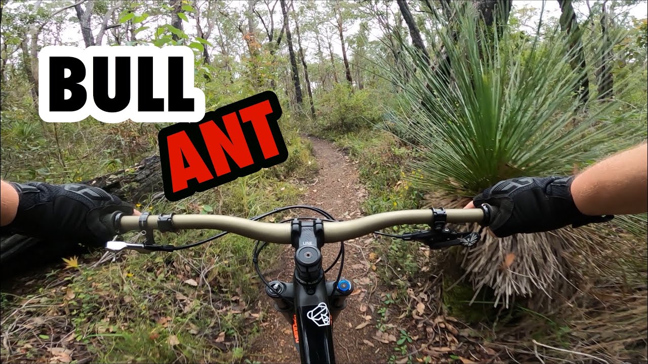 Bull Ant trail South Carters Margaret River Western Australia MTB