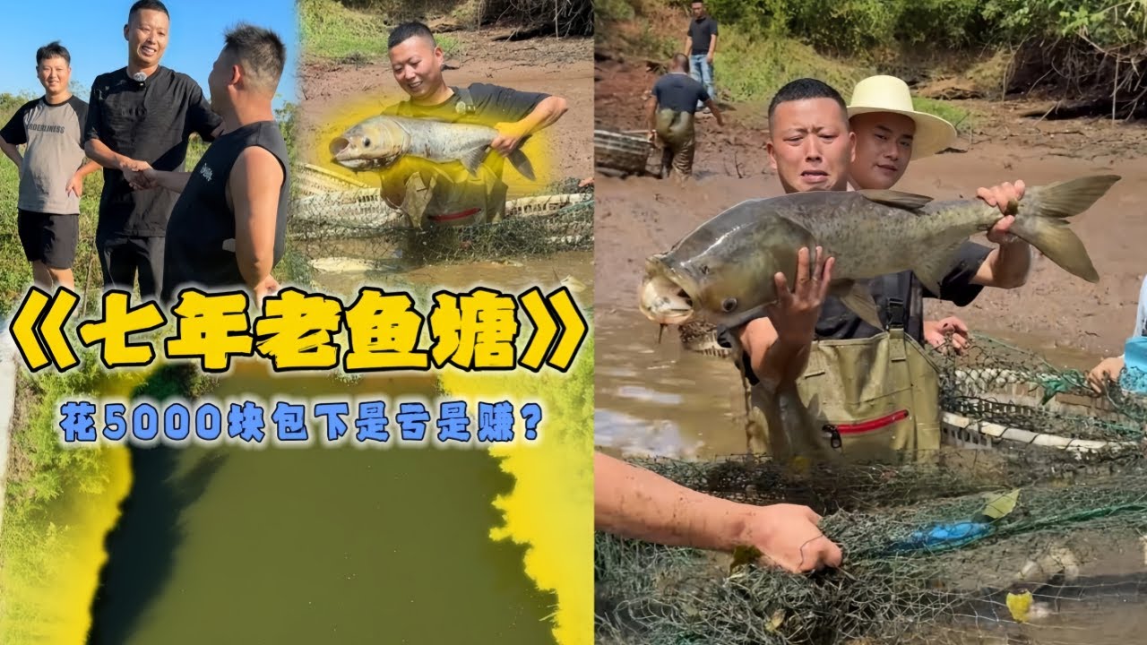 小飞哥花5000元包下7年没干的老鱼塘，没想到最后竟然是这样？