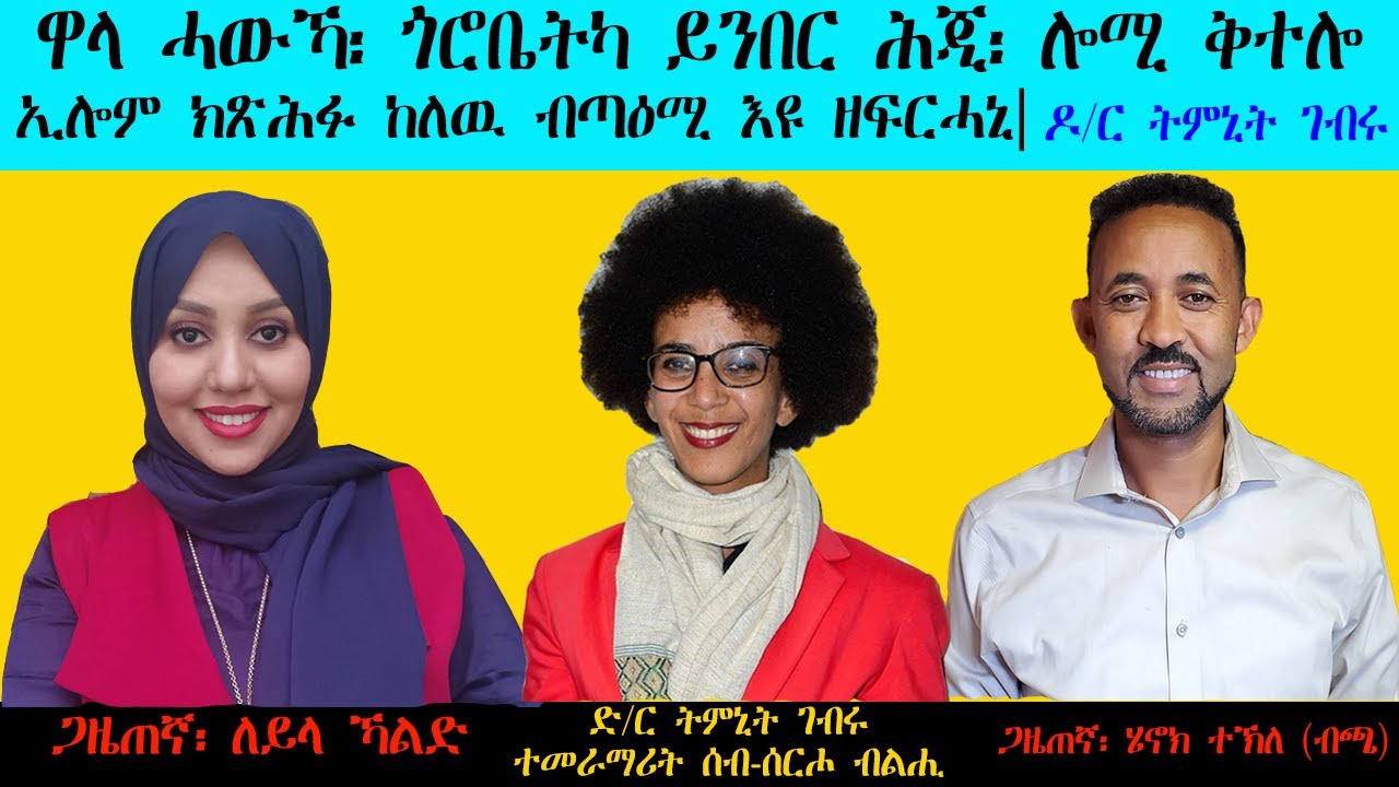 ERISAT: ዋላ ሓውኻ፡ ጎረቤትካ ይንበር ሕጂ፡ ሎሚ ቅተሎ ኢሎም ክጽሕፉ ከለዉ ብጣዕሚ እዩ ዘፍርሓኒ | Dr. Timnit Gebru | Scientist