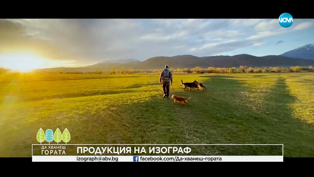Да хванеш гората (25.06.2023)