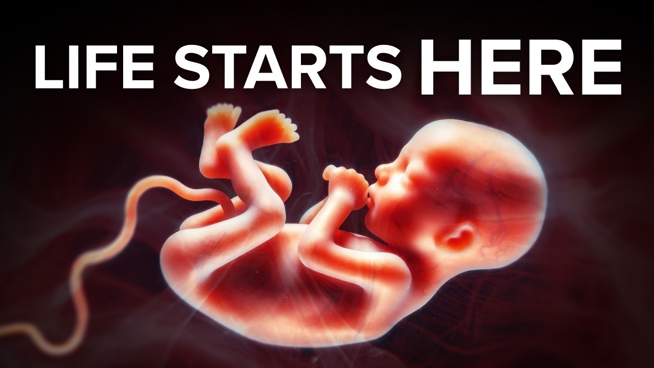 Самое важное видео для беременных женщин (подтверждено научными данными)