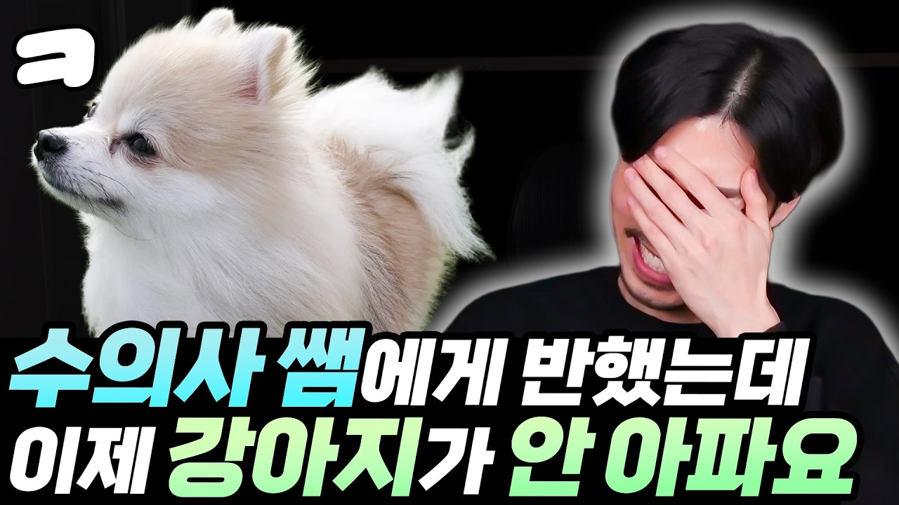 눈치없이 건강한 강아지와 각종 뻘한 고민 상담들