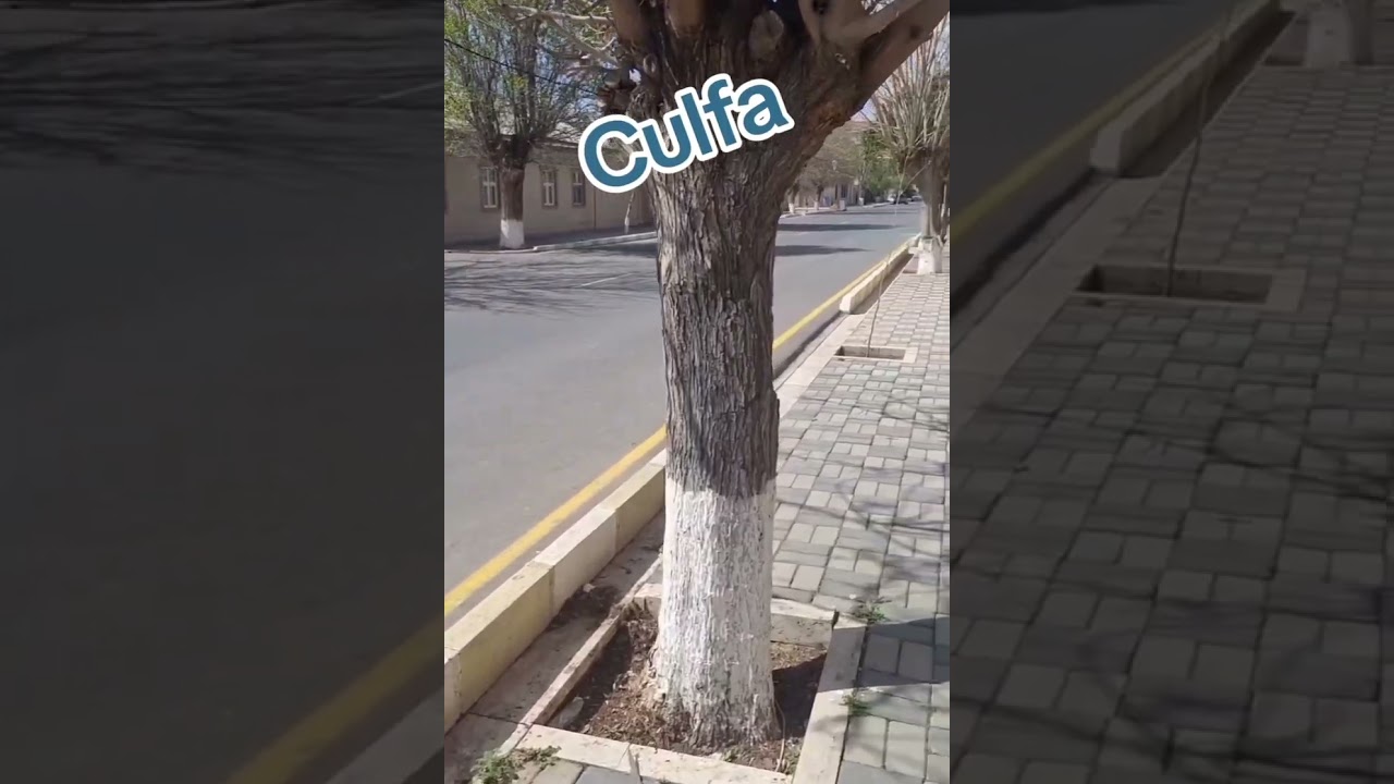 Can Azərbaycanımızın qədim şəhərlərindın Culfa şəhəri