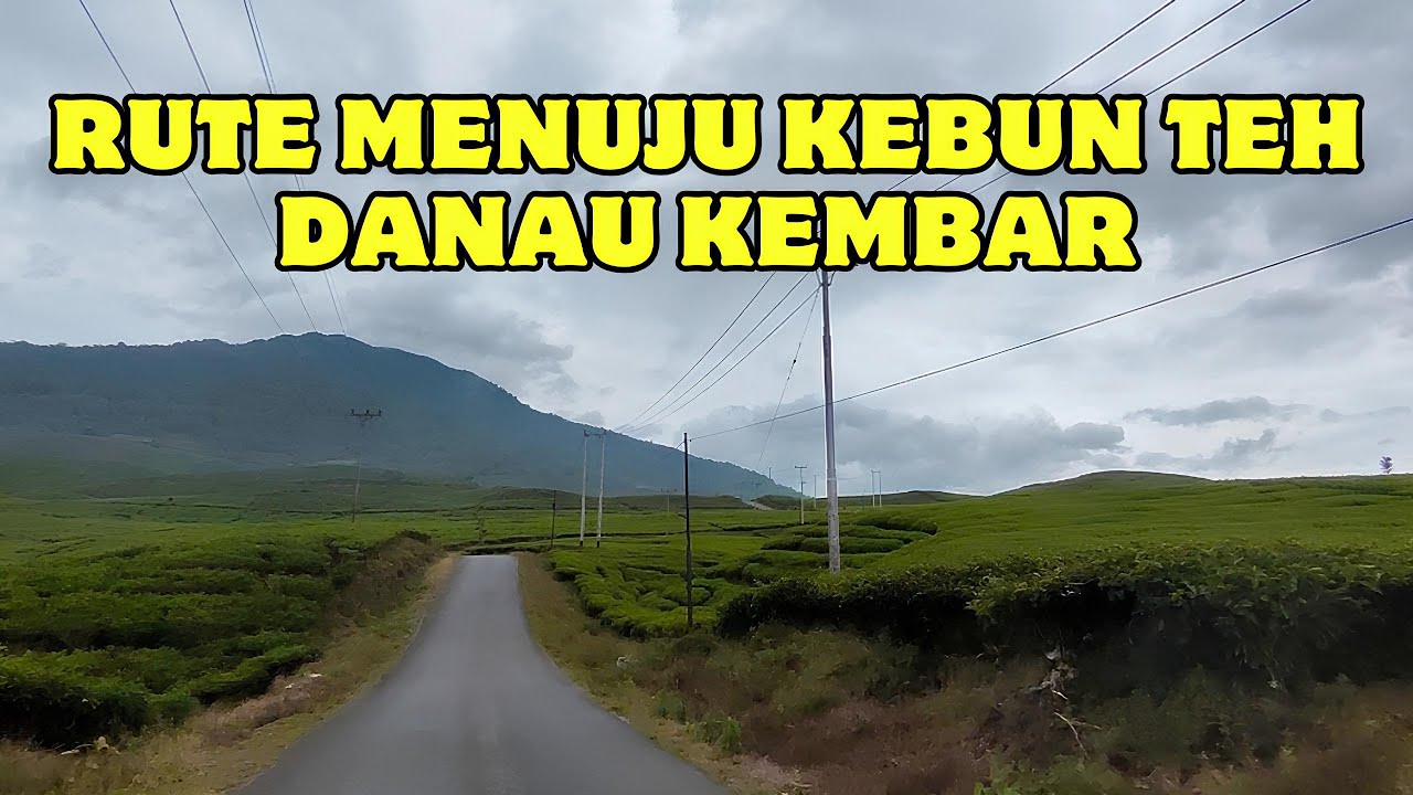 PERJALANAN MENUJU KEBUN TEH DANAU KEMBAR KABUPATEN SOLOK❗RUTE MENUJU PABRIK TEH PTPN VI