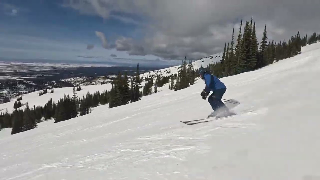 Benny Wonder Targhee 26