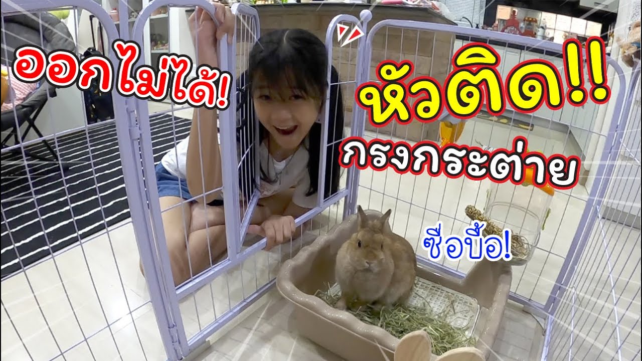Не могу выбраться! Моя голова застряла в кроличьей клетке!! | Забавная короткометражка | История ...